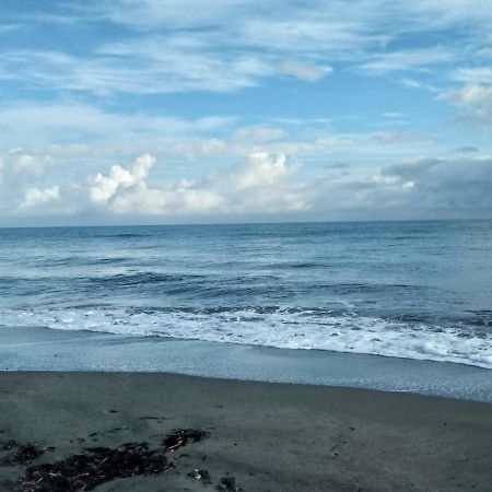 Un Nid Douillet En Bord De Plage !! Lucciana  Dış mekan fotoğraf