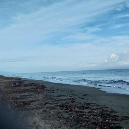 Un Nid Douillet En Bord De Plage !! Lucciana  Dış mekan fotoğraf