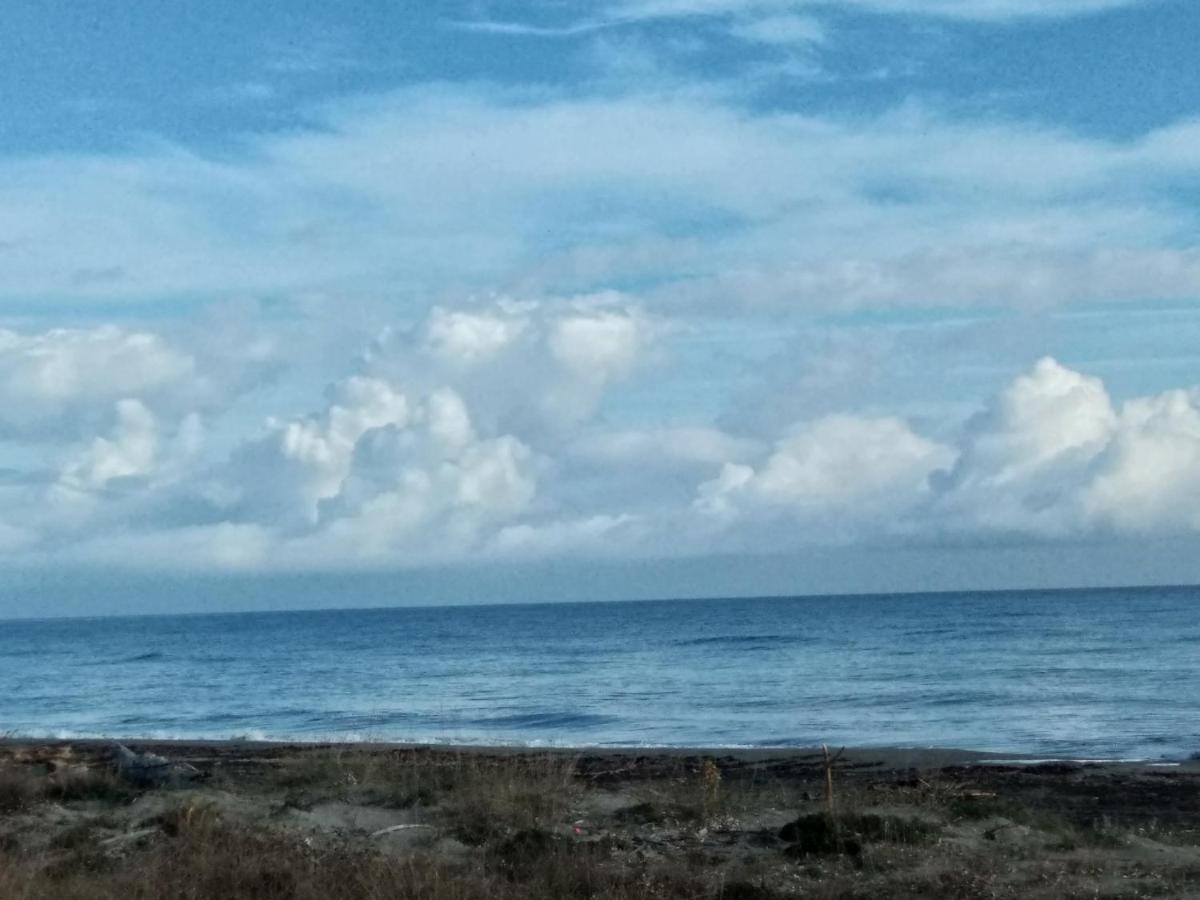 Un Nid Douillet En Bord De Plage !! Lucciana  Dış mekan fotoğraf