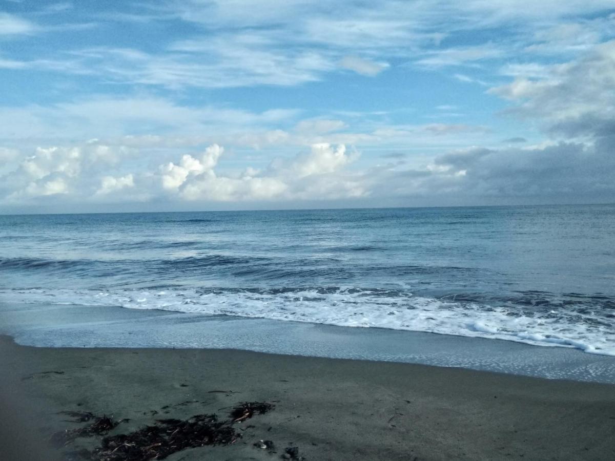 Un Nid Douillet En Bord De Plage !! Lucciana  Dış mekan fotoğraf