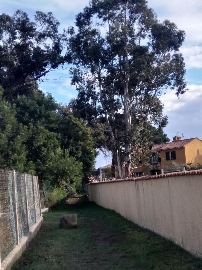 Un Nid Douillet En Bord De Plage !! Lucciana  Dış mekan fotoğraf
