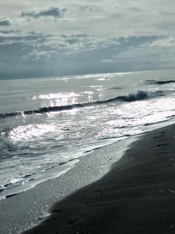 Un Nid Douillet En Bord De Plage !! Lucciana  Dış mekan fotoğraf