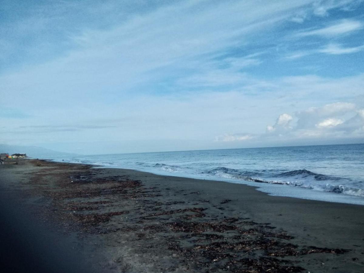 Un Nid Douillet En Bord De Plage !! Lucciana  Dış mekan fotoğraf